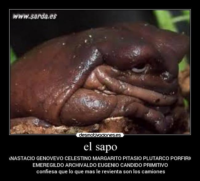 el sapo - ANASTACIO GENOVEVO CELESTINO MARGARITO PITASIO PLUTARCO PORFIRIO
EMEREGILDO ARCHIVALDO EUGENIO CANDIDO PRIMITIVO
confiesa que lo que mas le revienta son los camiones
