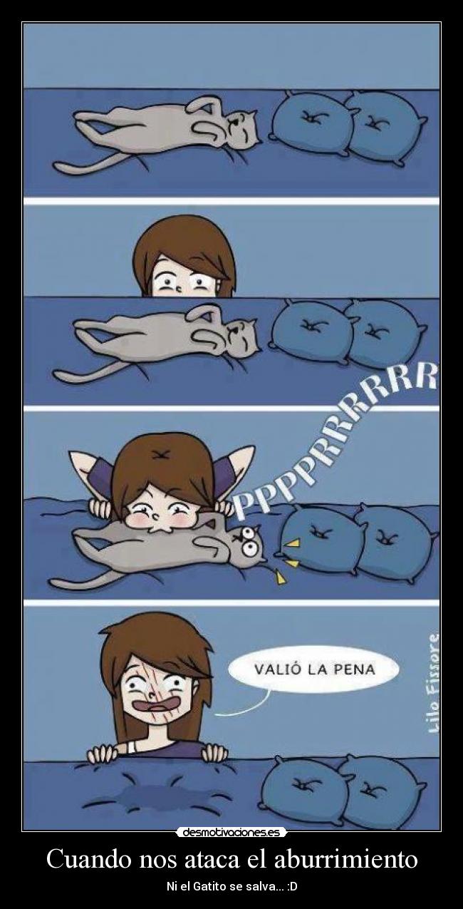 Cuando nos ataca el aburrimiento - Ni el Gatito se salva... :D