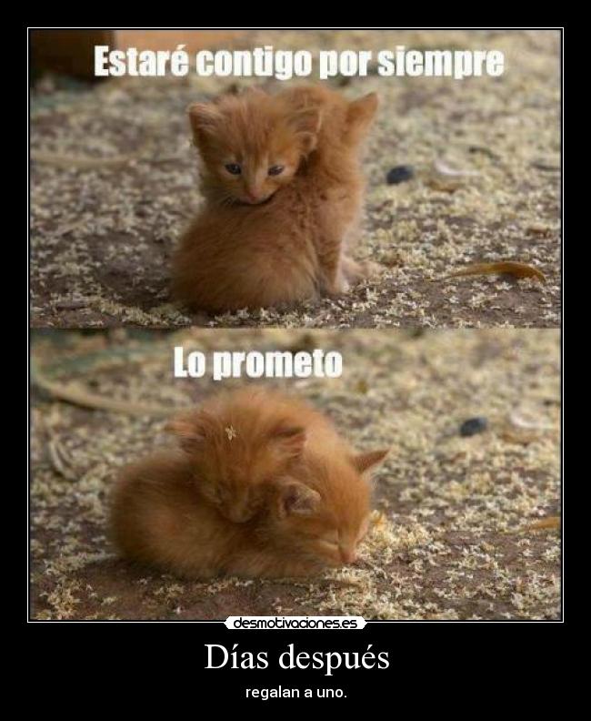 carteles desmotivaciones
