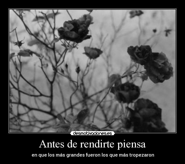 Antes de rendirte piensa - 