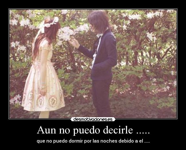 Aun no puedo decirle ..... -