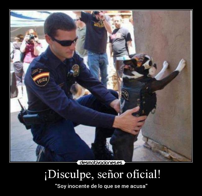 ¡Disculpe, señor oficial! - Soy inocente de lo que se me acusa