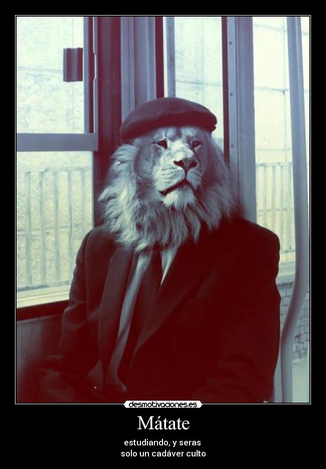 Mátate - estudiando, y seras
solo un cadáver culto