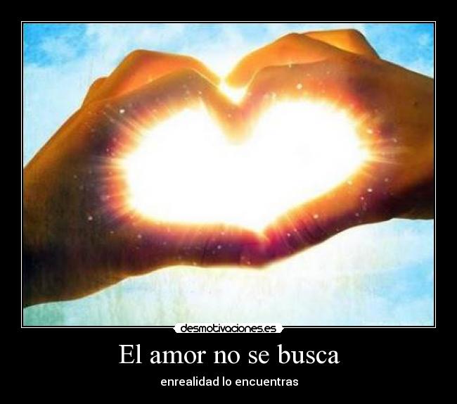 El amor no se busca -