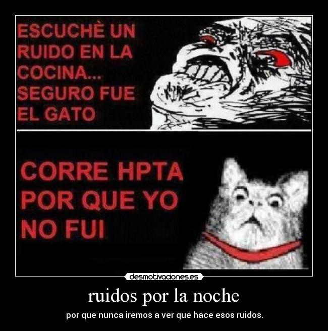 ruidos por la noche - por que nunca iremos a ver que hace esos ruidos.