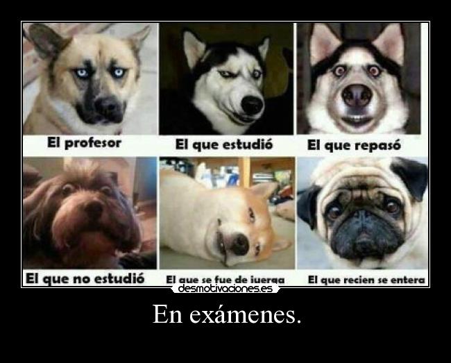 En exámenes. -