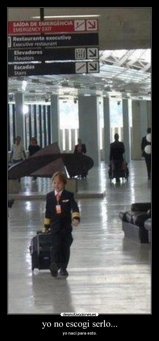 yo no escogi serlo... - yo naci para esto.