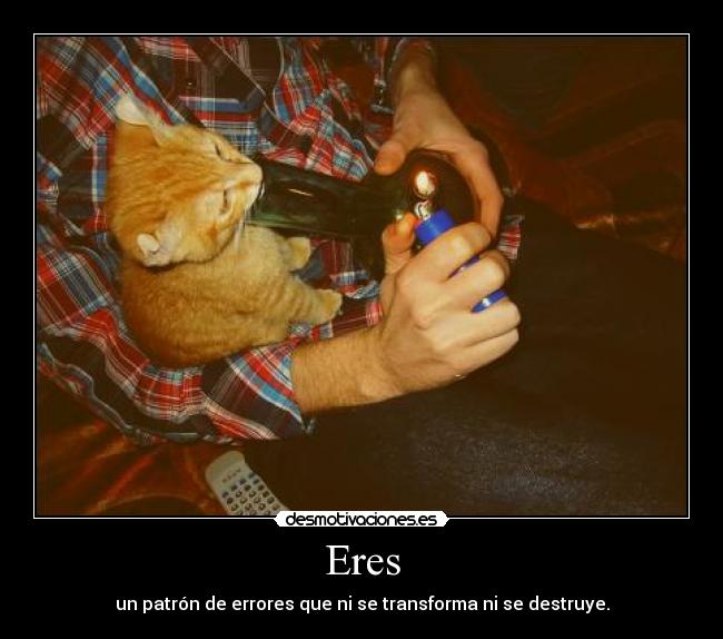 Eres - un patrón de errores que ni se transforma ni se destruye.