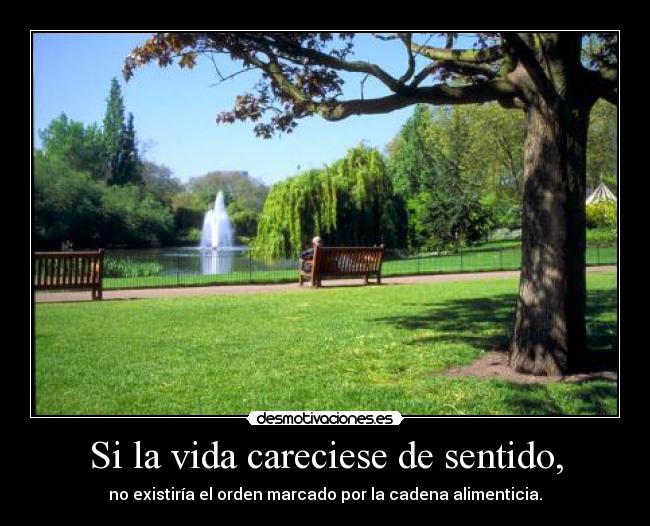 carteles vida darwin dio sentido vida fomento naturaleza humana ignorancia desmotivaciones