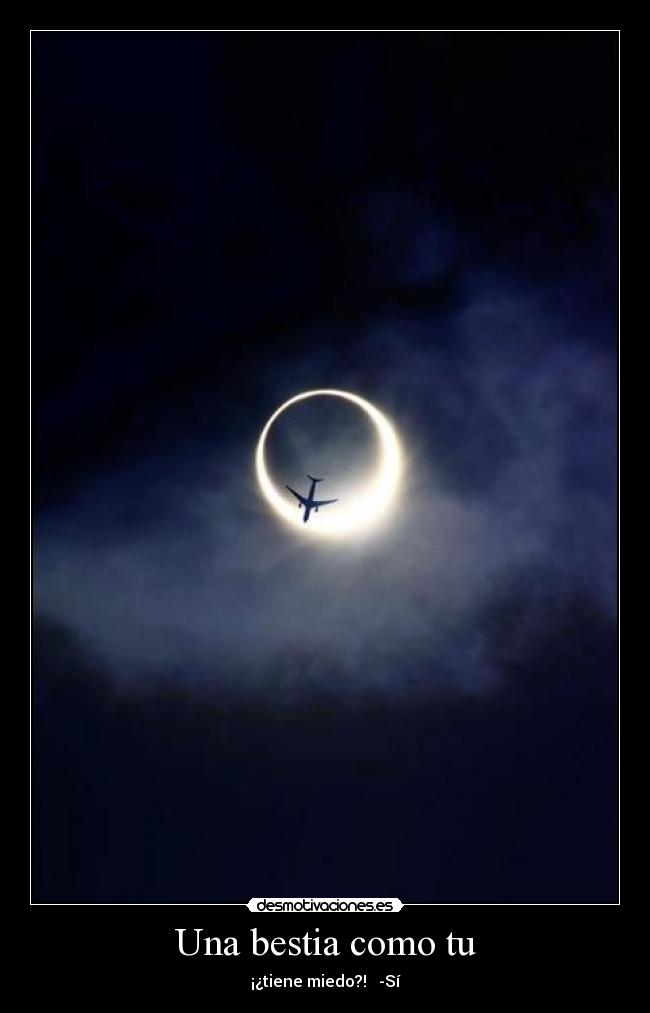 Una bestia como tu - ¡¿tiene miedo?!   -Sí