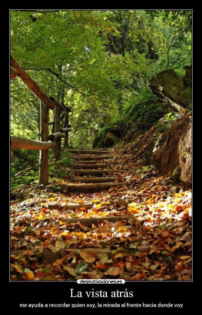 La vista atrás -