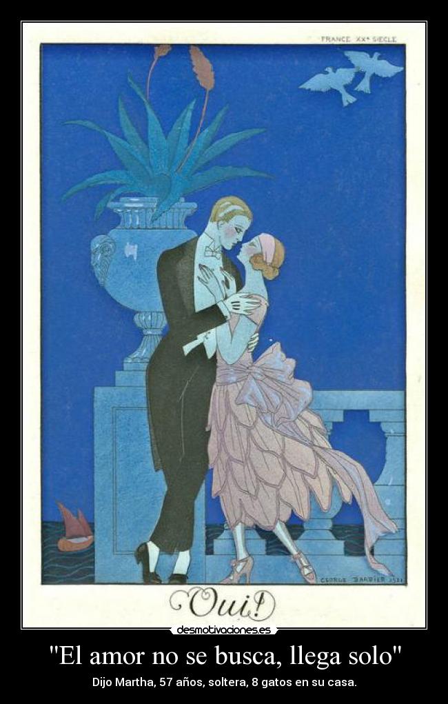 El amor no se busca, llega solo - Dijo Martha, 57 años, soltera, 8 gatos en su casa.