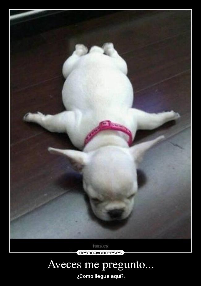 Aveces me pregunto... - ¿Como llegue aqui?.
