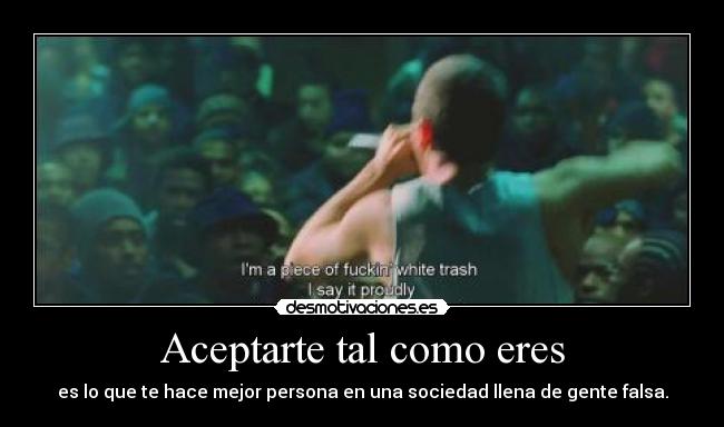 carteles eminem mile slim shady aftermath 2002 rabbit desmotivaciones