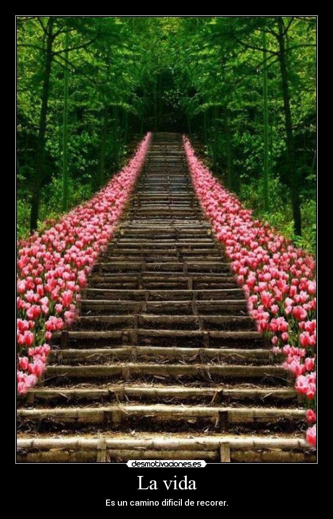 La vida -
