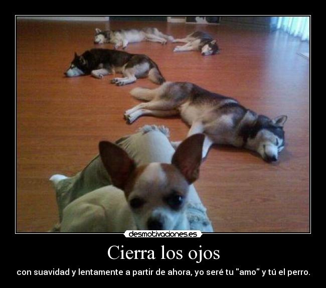 Cierra los ojos - con suavidad y lentamente a partir de ahora, yo seré tu amo y tú el perro.