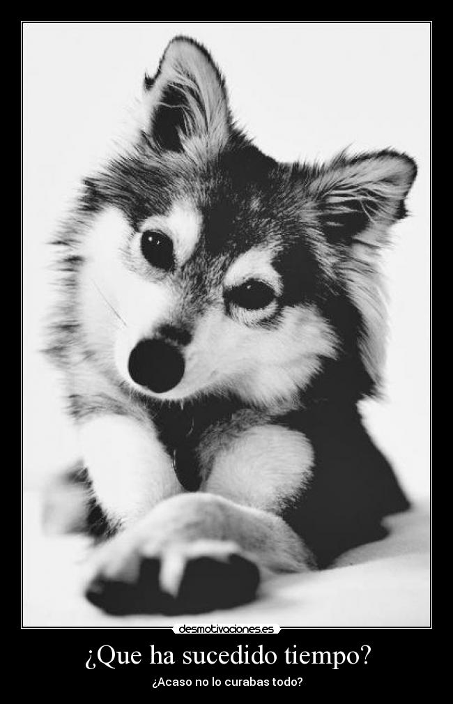 ¿Que ha sucedido tiempo? - 