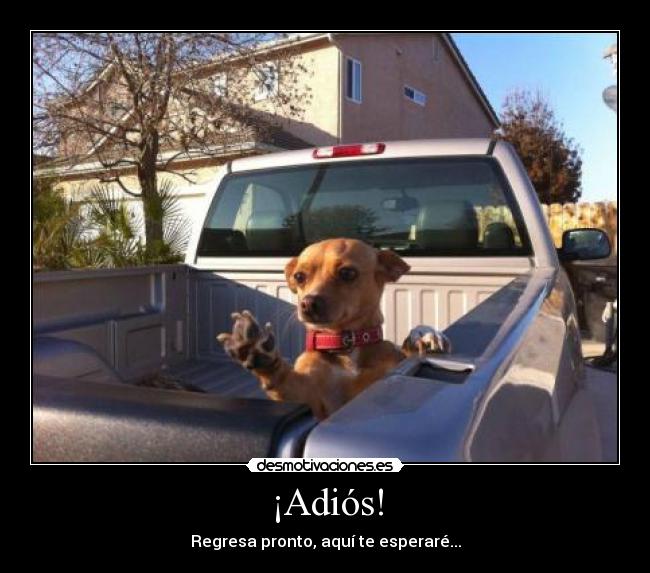 ¡Adiós! - Regresa pronto, aquí te esperaré...