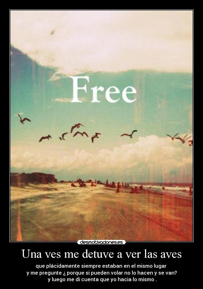 Una ves me detuve a ver las aves - que plácidamente siempre estaban en el mismo lugar 
y me pregunte ¿ porque si pueden volar no lo hacen y se van?
 y luego me di cuenta que yo hacia lo mismo .