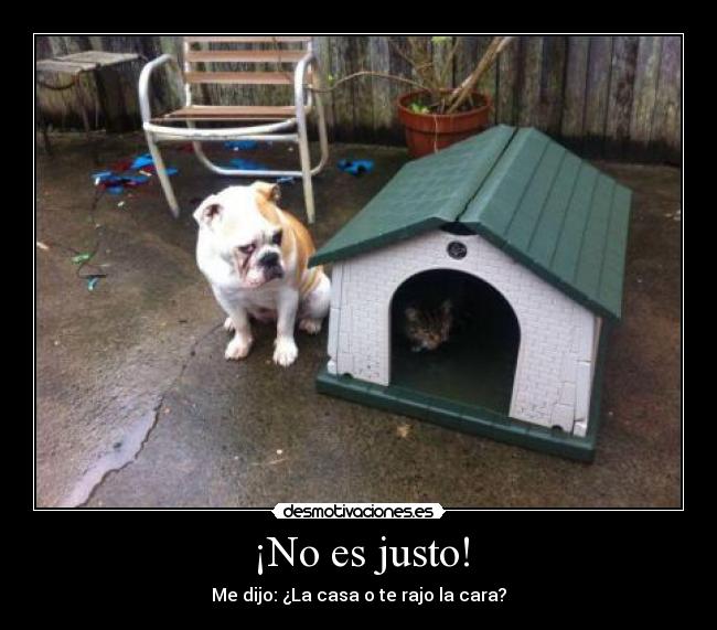 ¡No es justo! - Me dijo: ¿La casa o te rajo la cara?