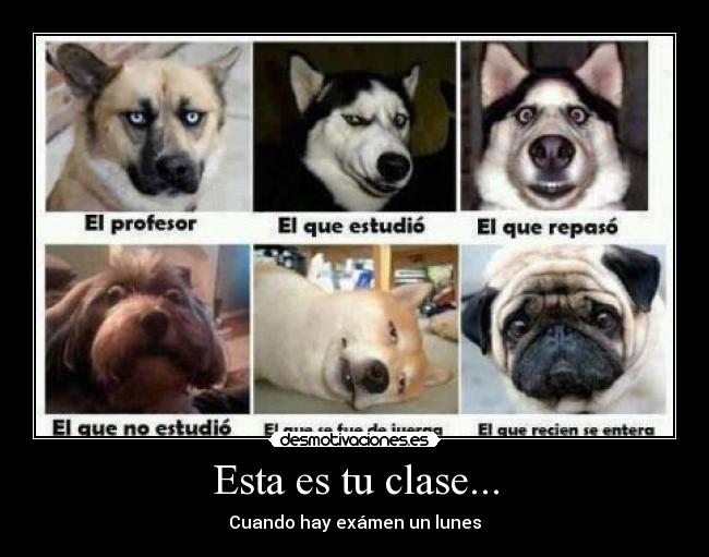 Esta es tu clase... - Cuando hay exámen un lunes