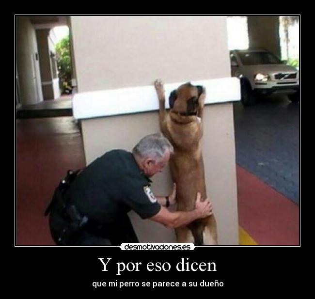 Y por eso dicen - que mi perro se parece a su dueño
