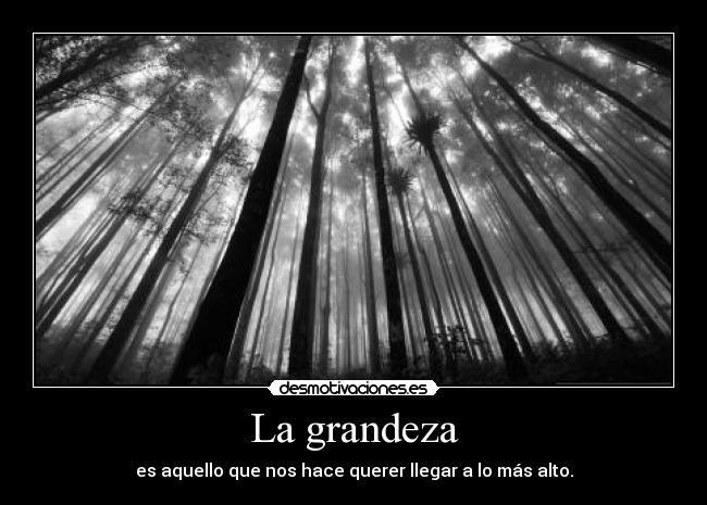 La grandeza - es aquello que nos hace querer llegar a lo más alto.