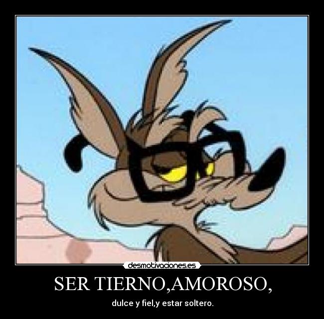SER TIERNO,AMOROSO, - dulce y fiel,y estar soltero.