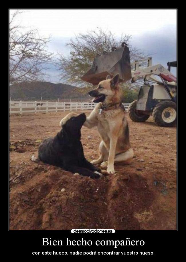 carteles buen trabajo guau guau desmotivaciones