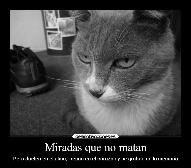 Miradas que no matan - Pero duelen en el alma,  pesan en el corazón y se graban en la memoria