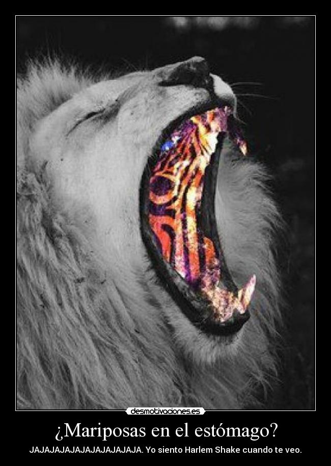 ¿Mariposas en el estómago? - JAJAJAJAJAJAJAJAJAJAJA. Yo siento Harlem Shake cuando te veo.