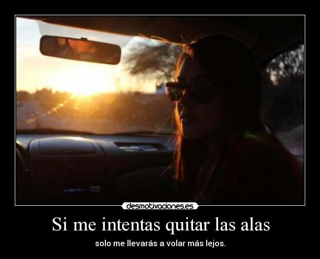 Si me intentas quitar las alas - solo me llevarás a volar más lejos.