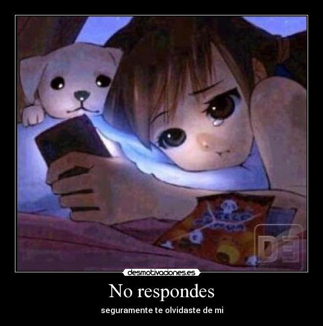 No respondes - seguramente te olvidaste de mi