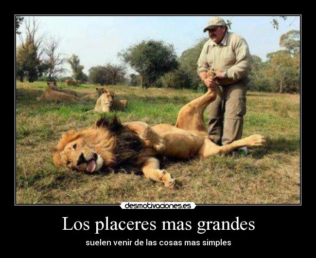 Los placeres mas grandes - suelen venir de las cosas mas simples