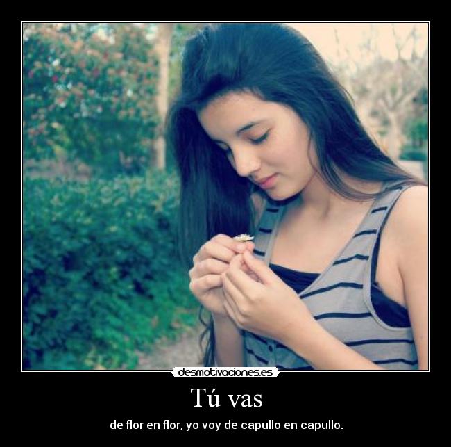 Tú vas - de flor en flor, yo voy de capullo en capullo.