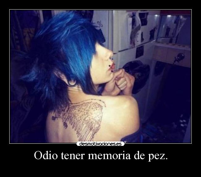 Odio tener memoria de pez. -