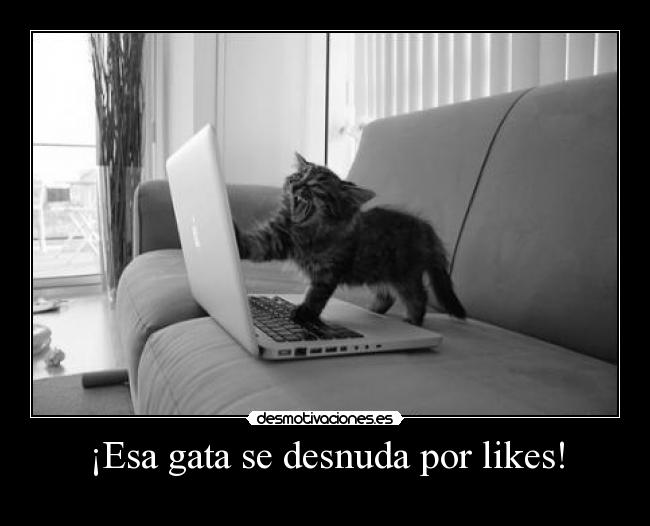 ¡Esa gata se desnuda por likes! -