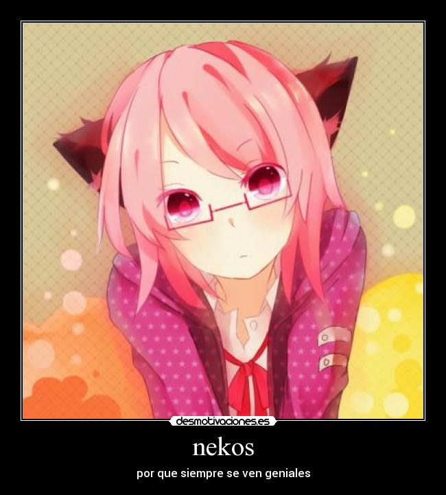 nekos - por que siempre se ven geniales