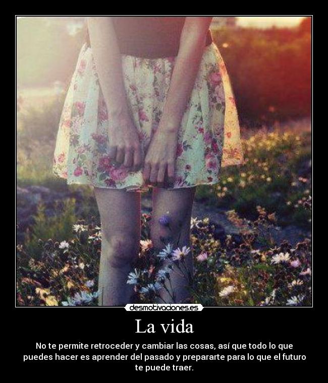 La vida - No te permite retroceder y cambiar las cosas, así que todo lo que
puedes hacer es aprender del pasado y prepararte para lo que el futuro
te puede traer.