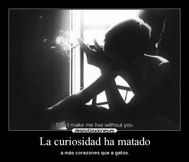 La curiosidad ha matado - 