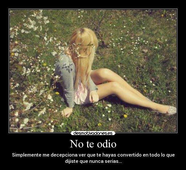 No te odio - 