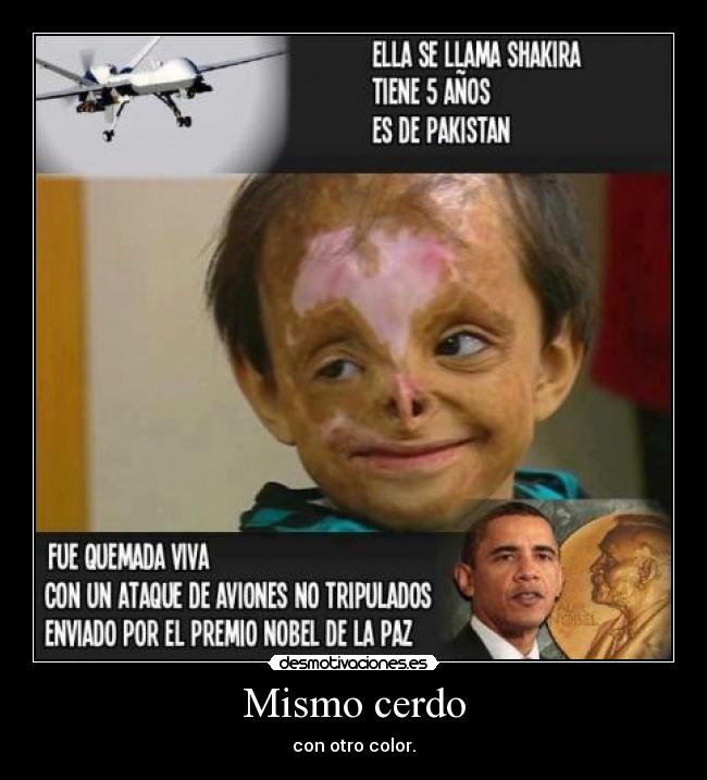 Mismo cerdo - con otro color.