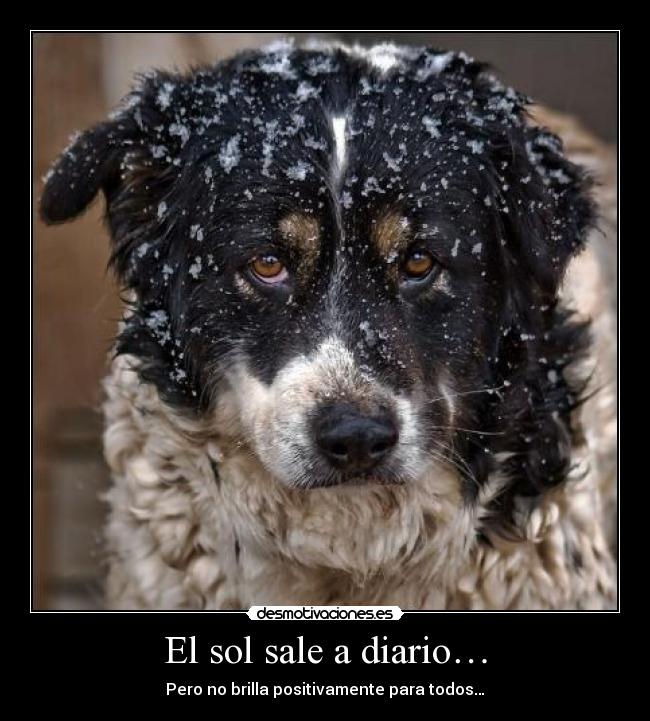 El sol sale a diario… - Pero no brilla positivamente para todos…