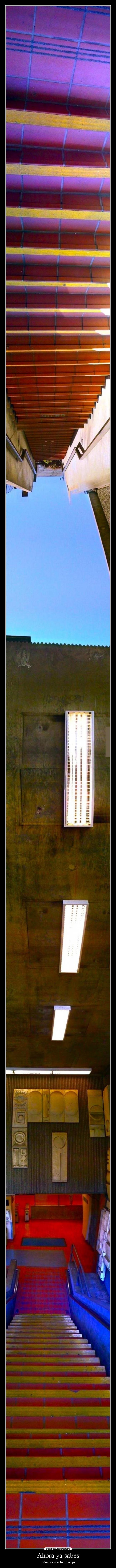 Ahora ya sabes - cómo se siente un ninja