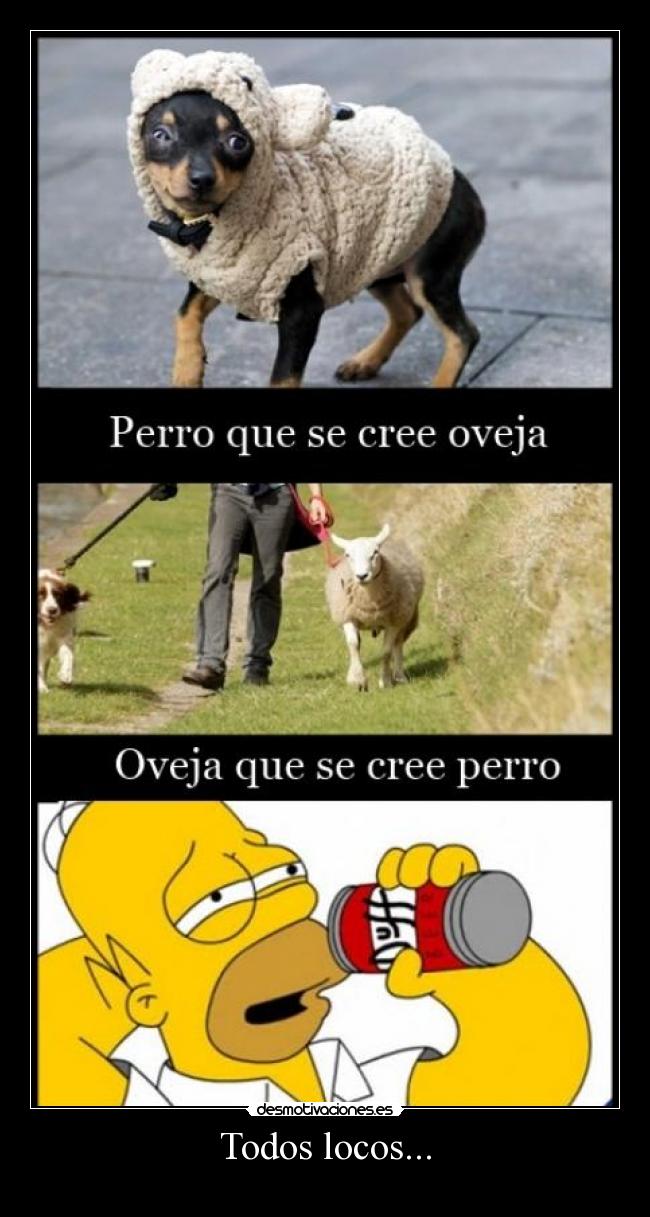Todos locos... - 