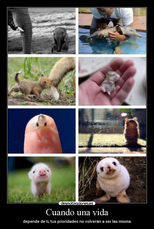 Cuando una vida -