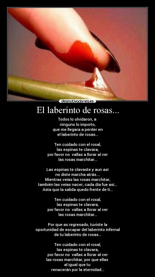 El laberinto de rosas... - Todos lo olvidaron, a
ninguno lo importo,
que me llegara a perder en
el laberinto de rosas...
Ten cuidado con el rosal,
las espinas te clavara,
por favor no vallas a llorar al ver
las rosas marchitar...
Las espinas te clavaste y aun así
no diste marcha atrás....
Mientras veías las rosas marchitar,
también las veías nacer, cada día fue así...
Asta que la salida quedo frente de ti...
Ten cuidado con el rosal,
las espinas te clavara,
por favor no vallas a llorar al ver
las rosas marchitar...
Por que as regresado, tuviste la
oportunidad de escapar del laberinto infernal
de tu laberinto de rosas...
Ten cuidado con el rosal,
las espinas te clavara,
por favor no vallas a llorar al ver
las rosas marchitar, por que ellas
al igual que tu
renacerán por la eternidad...