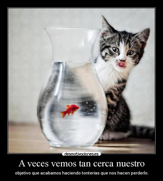 A veces vemos tan cerca nuestro - objetivo que acabamos haciendo tonterías que nos hacen perderlo.