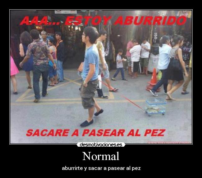 Normal - 