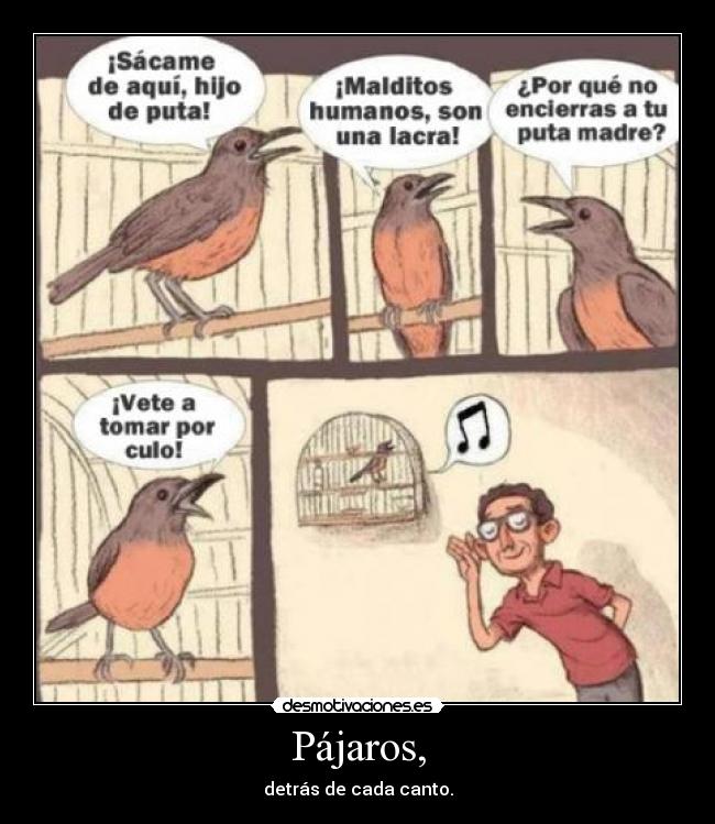 Pájaros, - detrás de cada canto.